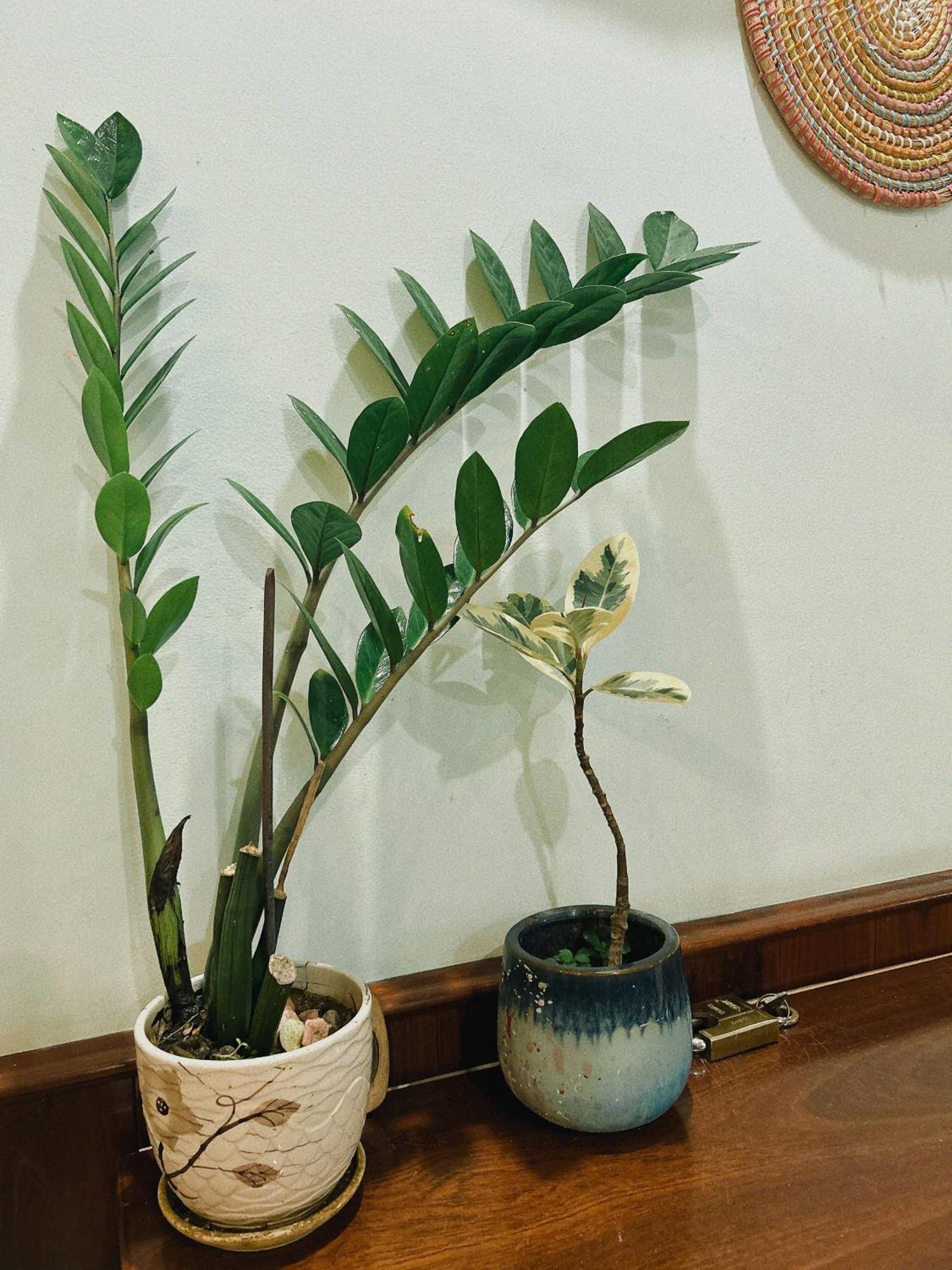 Nang Homestay Tuy Hoa Esterno foto